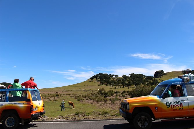 Private Small Group Full Day 4x4 Tour in Northwest Madeira - Ribeira da Janela and its dramatic rock formations