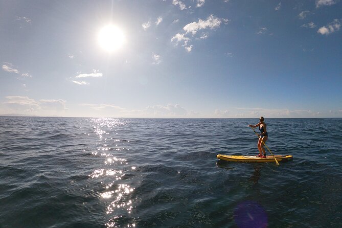 Private Stand Up Paddle Tour in Câmara de Lobos - Snorkeling and GoPro photos