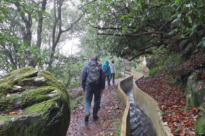 Private Sunrise Guided hike on Pico do Areeiro or other custom - What the guide adds beyond navigation