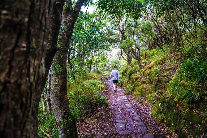 Private Sunrise Pico do Areeiro Half Day with easy levada walk - Miradouro do Guindaste’s Glass Platform