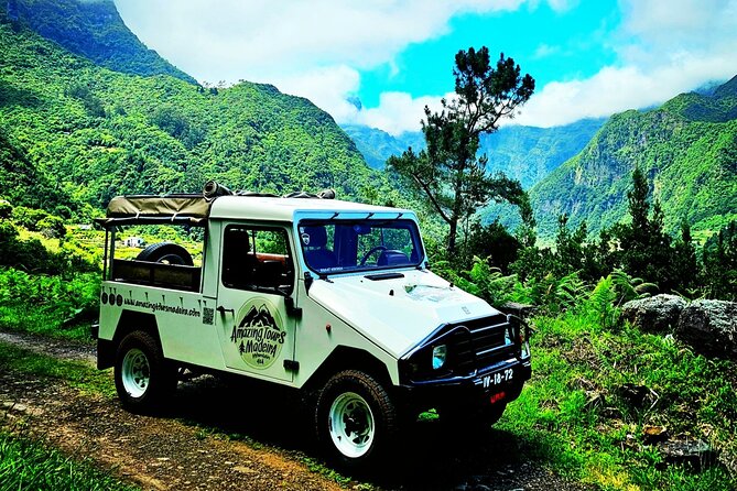 Private Tour on Madeira Island (max 6 people) - Why this tour works well for Madeira