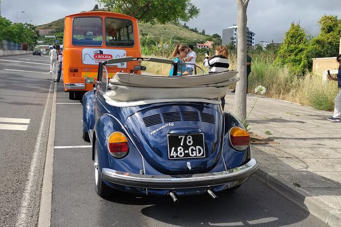 Private Tour: Regional Road Drive with Stunning Views and Poncha Drink Tasting - Pickup, comfort, and the small details that matter