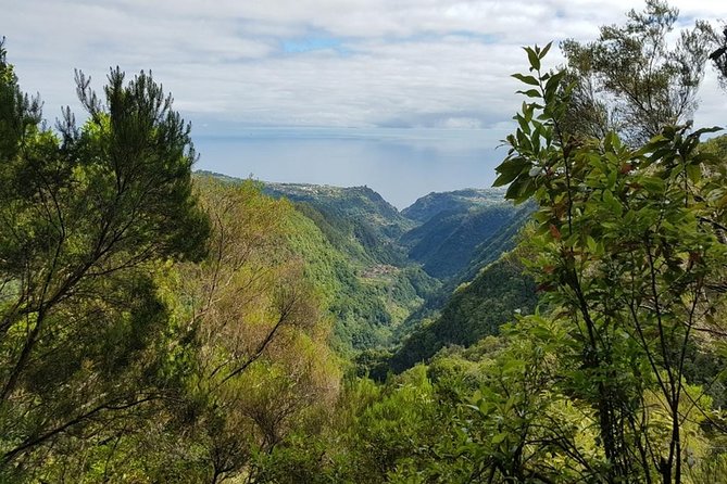 Private Tour The Biosphere Santana - Who will get the most from this tour