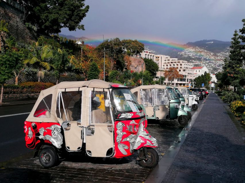 Private tour:Tuk Tuk Ride to Monte Funchal Toboggans - Why the Monte toboggans work so well with a tuk tuk