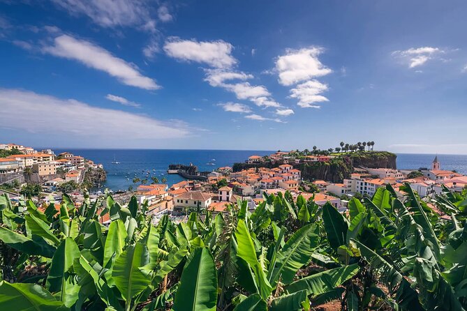 Private Tuk Tuk Tour on Câmara de Lobos, Fishing Village - A five-minute look at Doca do Cavacas