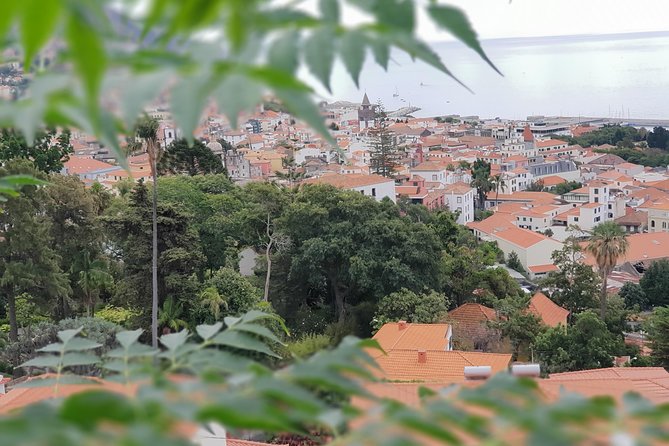 Private Tuk Tuk Tour to Old Town + Monte in Funchal - Why this private tuk tuk route works so well