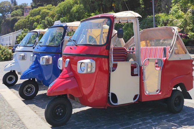 Private Tuk Tuk Tour to Old Town + Monte in Funchal - The 2-kilometer Monte basket descent