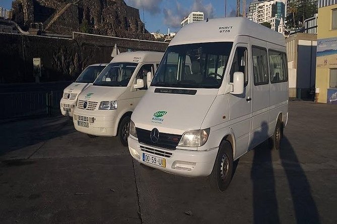 Private VipTours up to 4pax/8pax/19pax - A private Madeira day instead of a fixed route