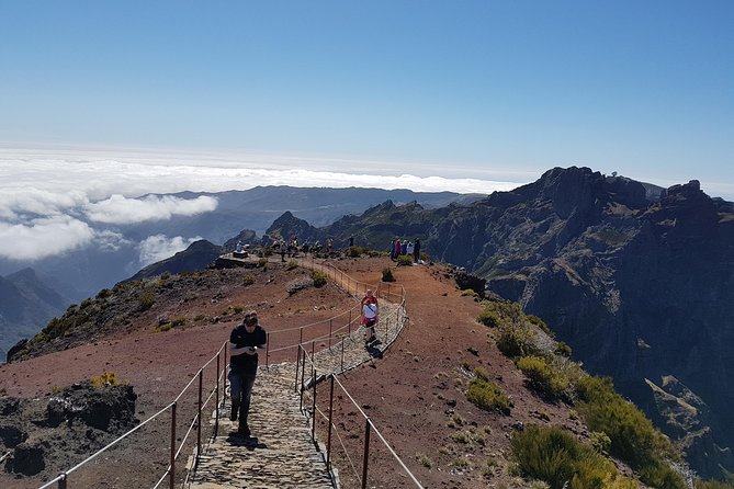 Private Walk Achadas Teixeira - Pico Ruivo Half-day - Who should book this Madeira walk