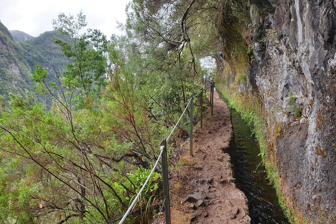 Queimadas-Caldeirão Verde - The 8:30 am start and Funchal hotel pickup