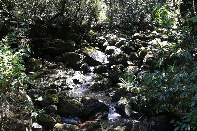 Queimadas-Caldeirão Verde - The small-group advantage
