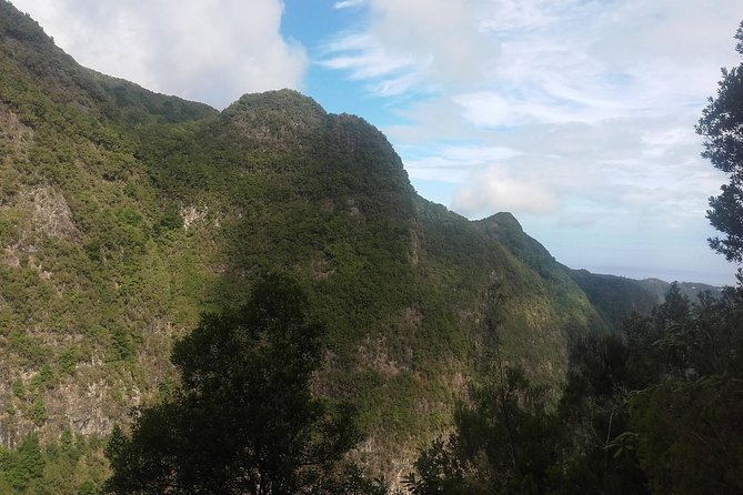 Queimadas-Caldeirão Verde - Who should book this Madeira walk?