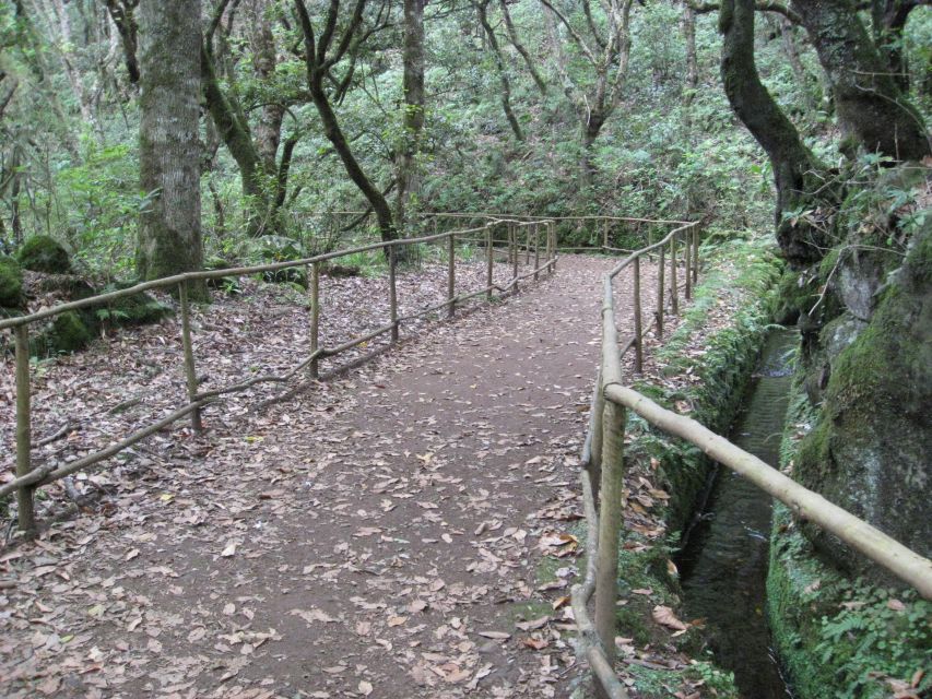 Queimadas Caldeirao Verde Full day hike - The narrow levada path requires focus