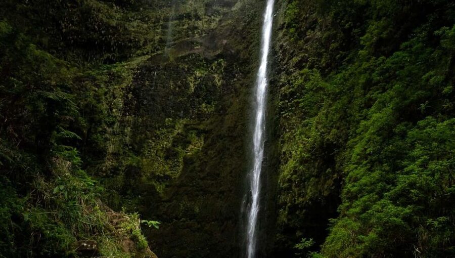 Queimadas Caldeirao Verde Full day hike - Returning through the same mountain world
