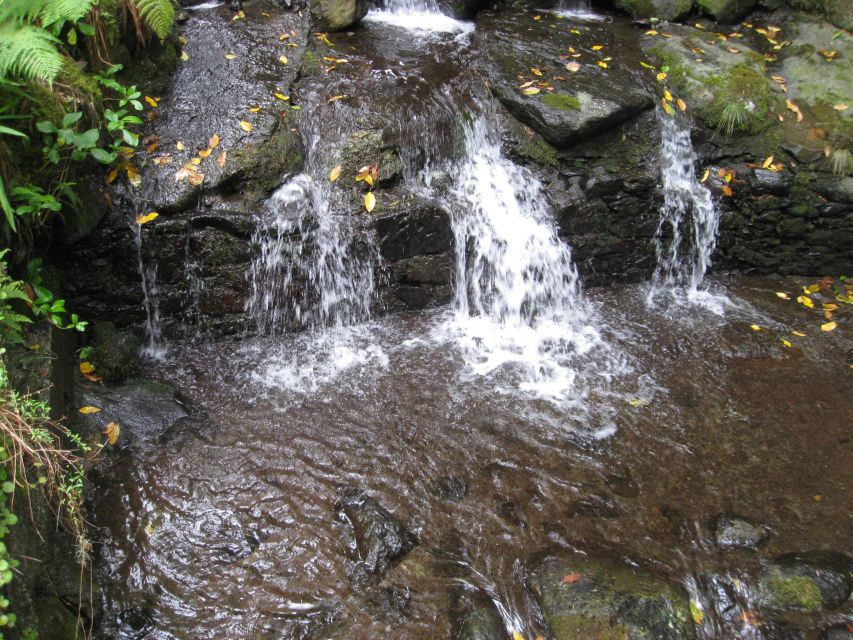 Queimadas Caldeirao Verde Full day hike - What the tour is worth