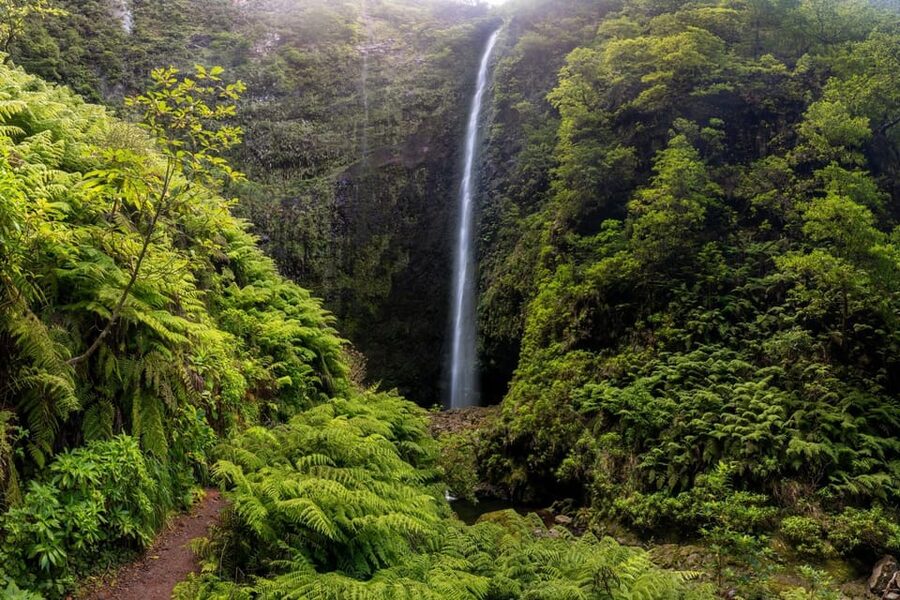 Queimadas Caldeirão Verde Madeira Island Walk - Key points at a glance