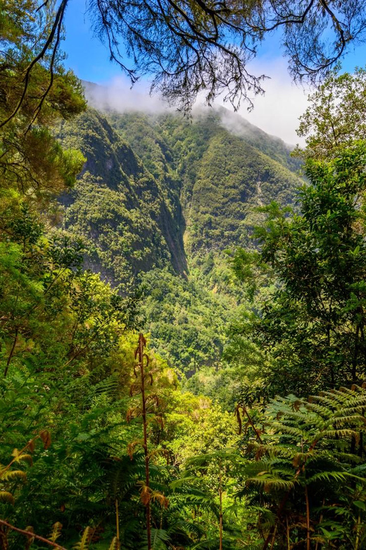 Queimadas Caldeirão Verde Madeira Island Walk - Why the waterfall stop is worth the effort