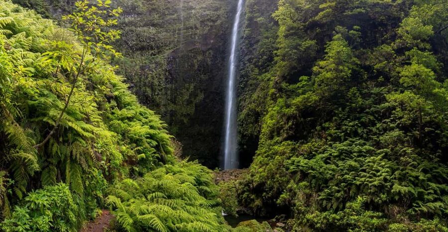 Queimadas Caldeirão Verde Madeira Island Walk - Who will enjoy this Madeira walk