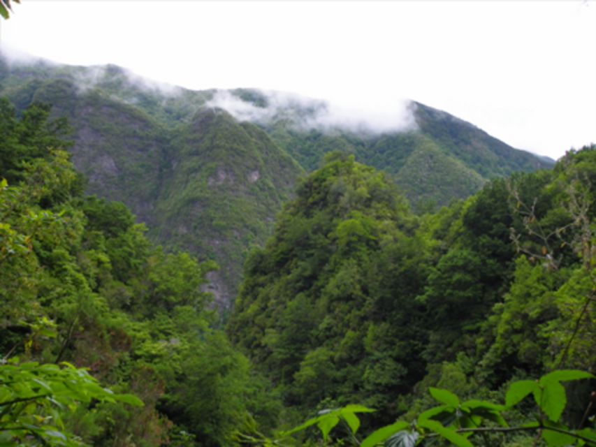 Queimadas Caldeirão Verde Walking tour with guide - Tunnels, rock walls, and the practical side of the trail
