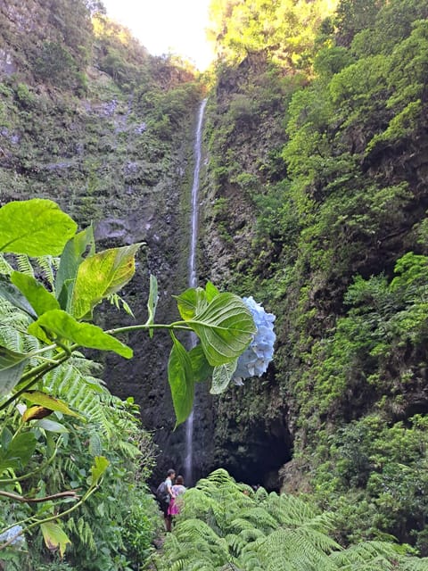Queimadas Caldeirão Verde Walking tour with guide - The guide can shape the whole day