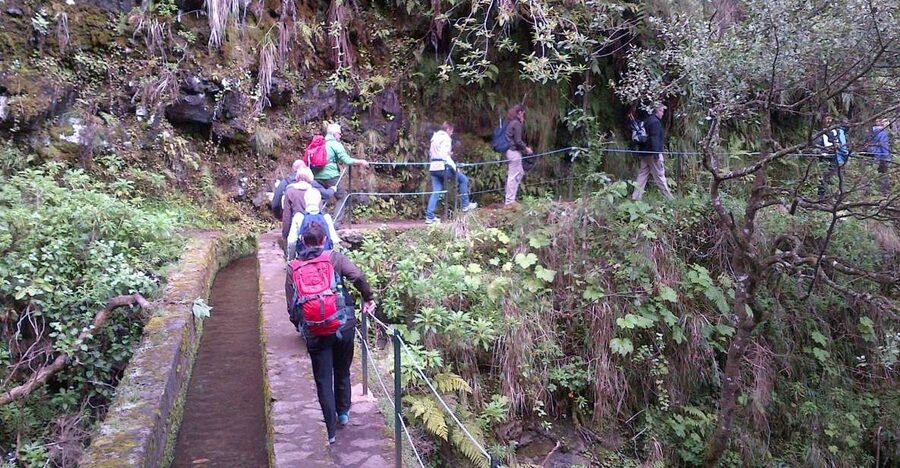 Queimadas Natural Park 5-Hour Guided Hike - Starting in Queimadas at 990 meters
