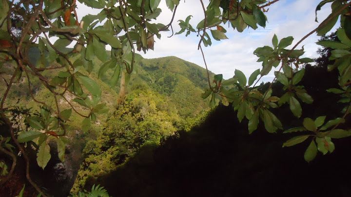 Queimadas Natural Park 5-Hour Guided Hike - Waterfalls, cliffs, and the interior valley