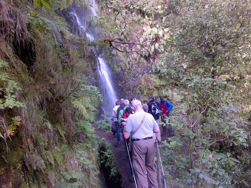 Queimadas Natural Park 5-Hour Guided Hike - What the mountain guide adds