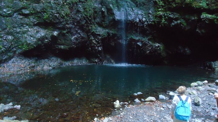 Queimadas Natural Park 5-Hour Guided Hike - Five hours on foot, and possibly much longer overall