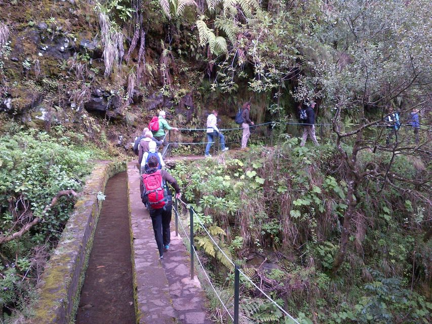 Queimadas Natural Park 5-Hour Guided Hike - Practical packing advice for the levada