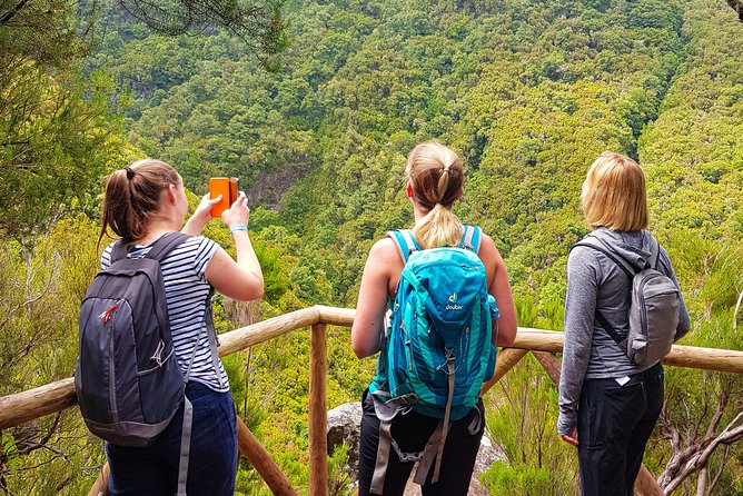 Rabaçal 25 Fontes Levada Walk in Small Groups - Key points before you book