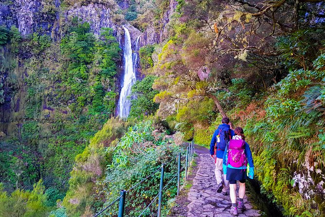 Rabaçal 25 Fontes Levada Walk in Small Groups - From Funchal pickup to the mountain road