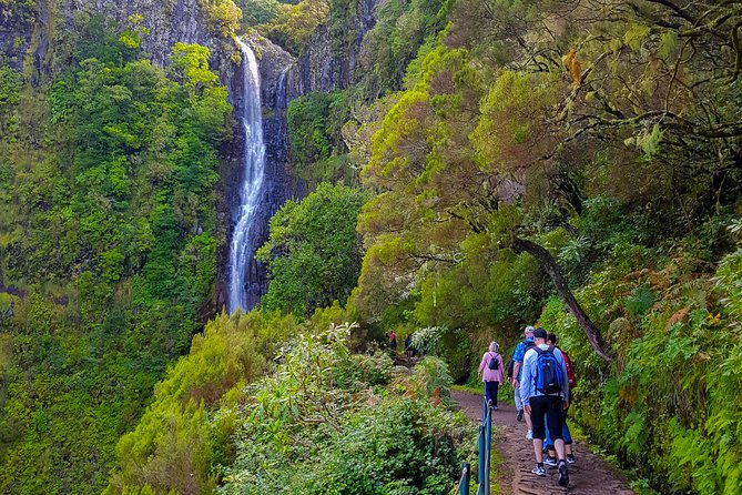 Rabaçal 25 Fontes Levada Walk in Small Groups - Walking through Laurissilva Forest