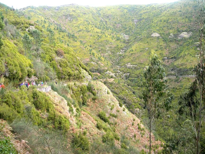 Rabaçal: 25 Fontes & Risco Levada Transfer Self-guided Hike - Key points to know before booking