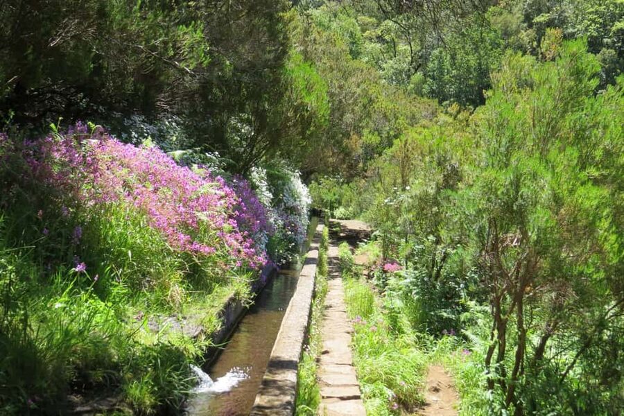 Rabaçal: 25 Fontes & Risco Levada Transfer Self-guided Hike - Should you book the Rabaçal self-guided hike?