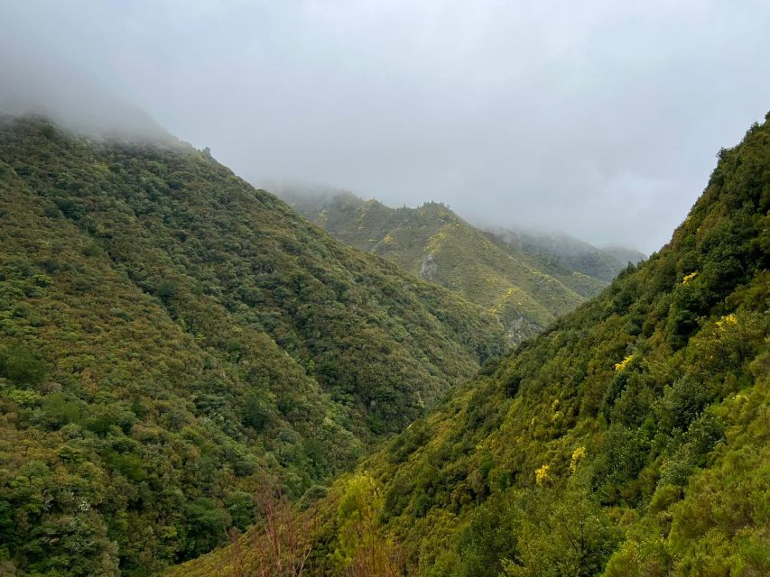 Rabaçal: 25 Fontes & Risco Levada Transfer Self-guided Hike - Starting the five-hour hike