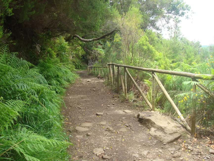 Rabaçal: 25 Fontes & Risco Levada Transfer Self-guided Hike - Making the five hours work
