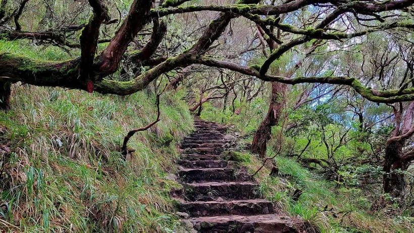 Rabaçal: 25 Fontes & Risco Levada Transfer Self-guided Hike - Communication, cancellation, and practical value