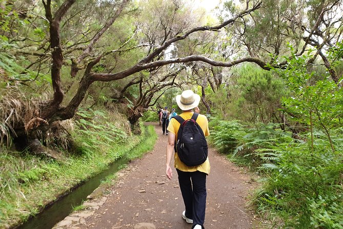 Rabaçal - 25 Fonts - Following the Levada do Rabaçal into Madeira’s forest