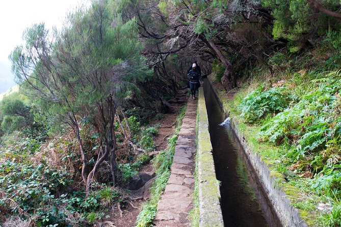 Rabaçal Hiking Tour - Why Rabaçal is such a strong Madeira day trip