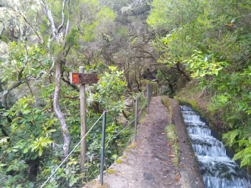 Rabaçal: Lagoa do Vento, Levada Risco and Levada 25 Fontes - What $70 really covers
