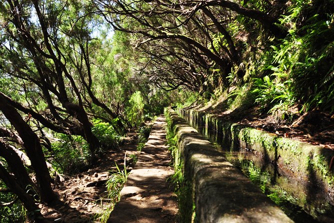 Rabaçal - Levada das 25 Fontes - Is $55.60 good value?