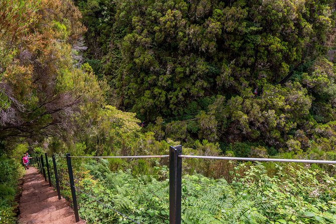 Rabaçal - Levada das 25 Fontes - Who will enjoy this Madeira walk?