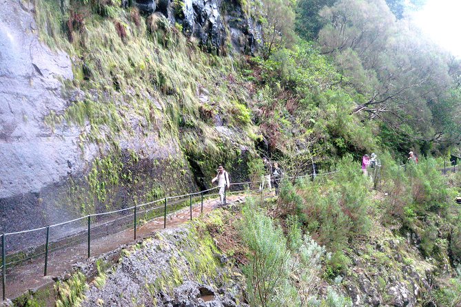 Rabaçal - Risco - 25 Fontes Levada Walk - The early start from central Funchal