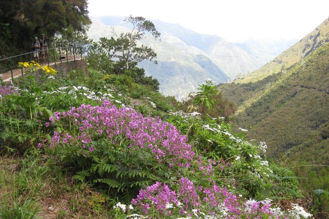 Rabaçal / Risco / 25 Fountains Full-day walk - Walking through Madeira’s Laurissilva forest