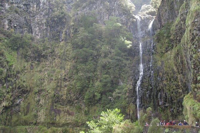 Rabaçal / Risco / 25 Fountains Full-day walk - Following the 25 Fontes levada to the springs