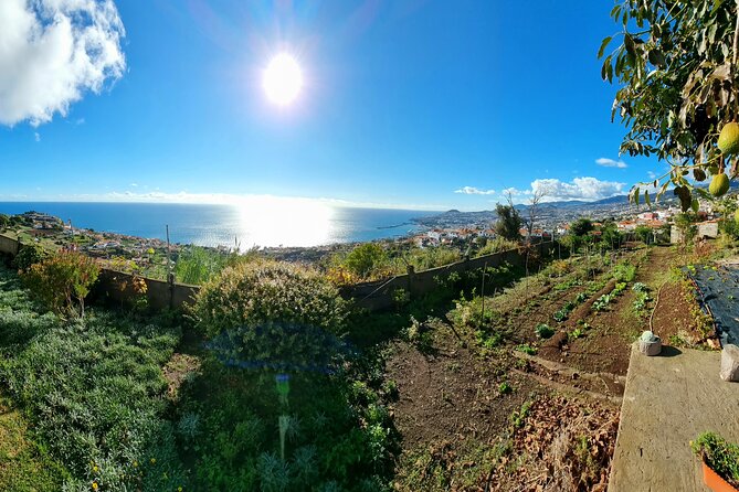 "Re-Canto" Farm-to-Table with Stunning Views at Madeira - The four-course meal and the role of espetada