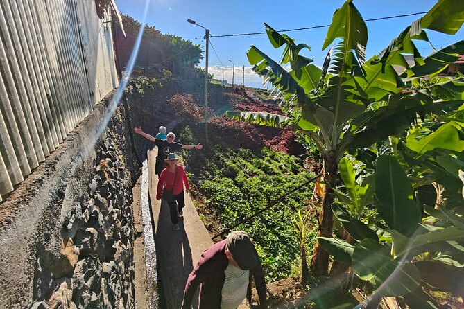 Real Life, Mountains & Sea Cliffs + Lunch + Levada walk - 6 hours - Jardim da Serra, local drinks, and the quiet levada walk