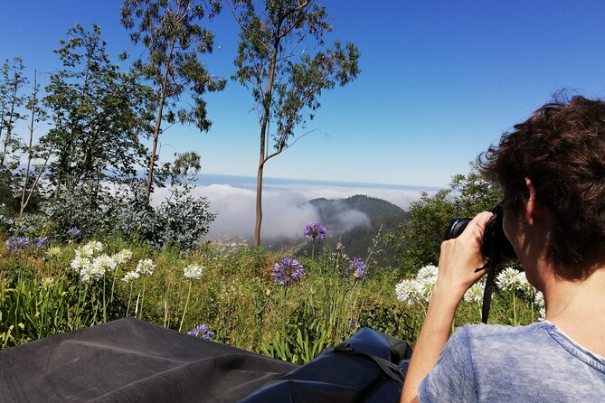 Real Life, Mountains & Sea Cliffs + Lunch + Levada walk - 6 hours - Câmara de Lobos and the working side of Madeira