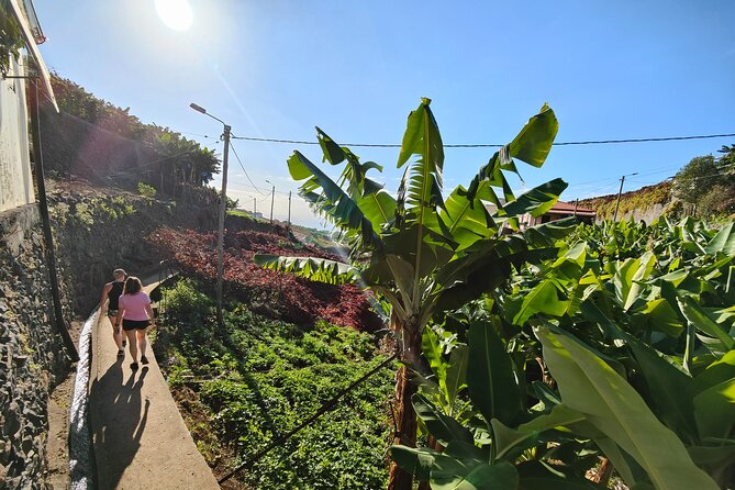 Real Life, Mountains & Sea Cliffs (Nun´s Valley View) - Half Day 4x4 Tour - Jardim da Serra, cherries, chestnuts, and Poncha