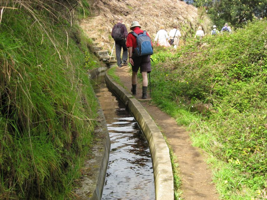 Referta & Castelejo: Half-Day Morning Walk - Endemic plants, animals, and the value of a guide